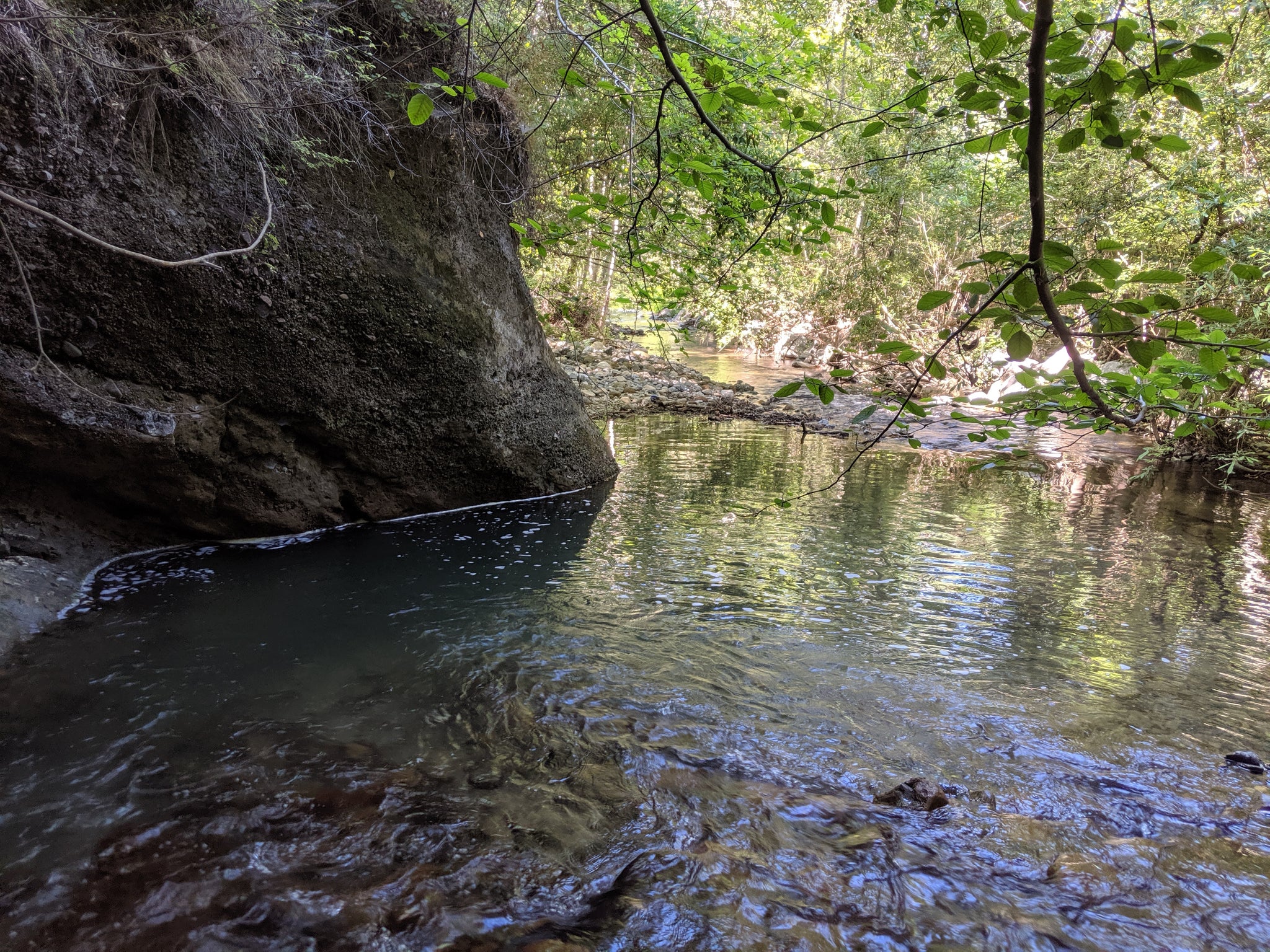 Stevens Creek - Stevens Canyon