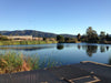 Campbell Perc Ponds