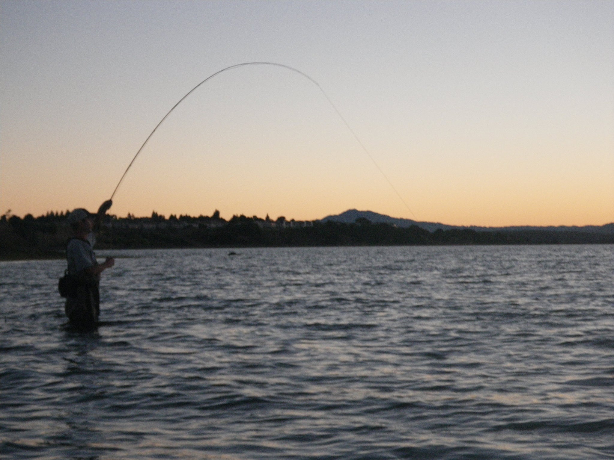 Striper Fishing - San Pablo Bay
